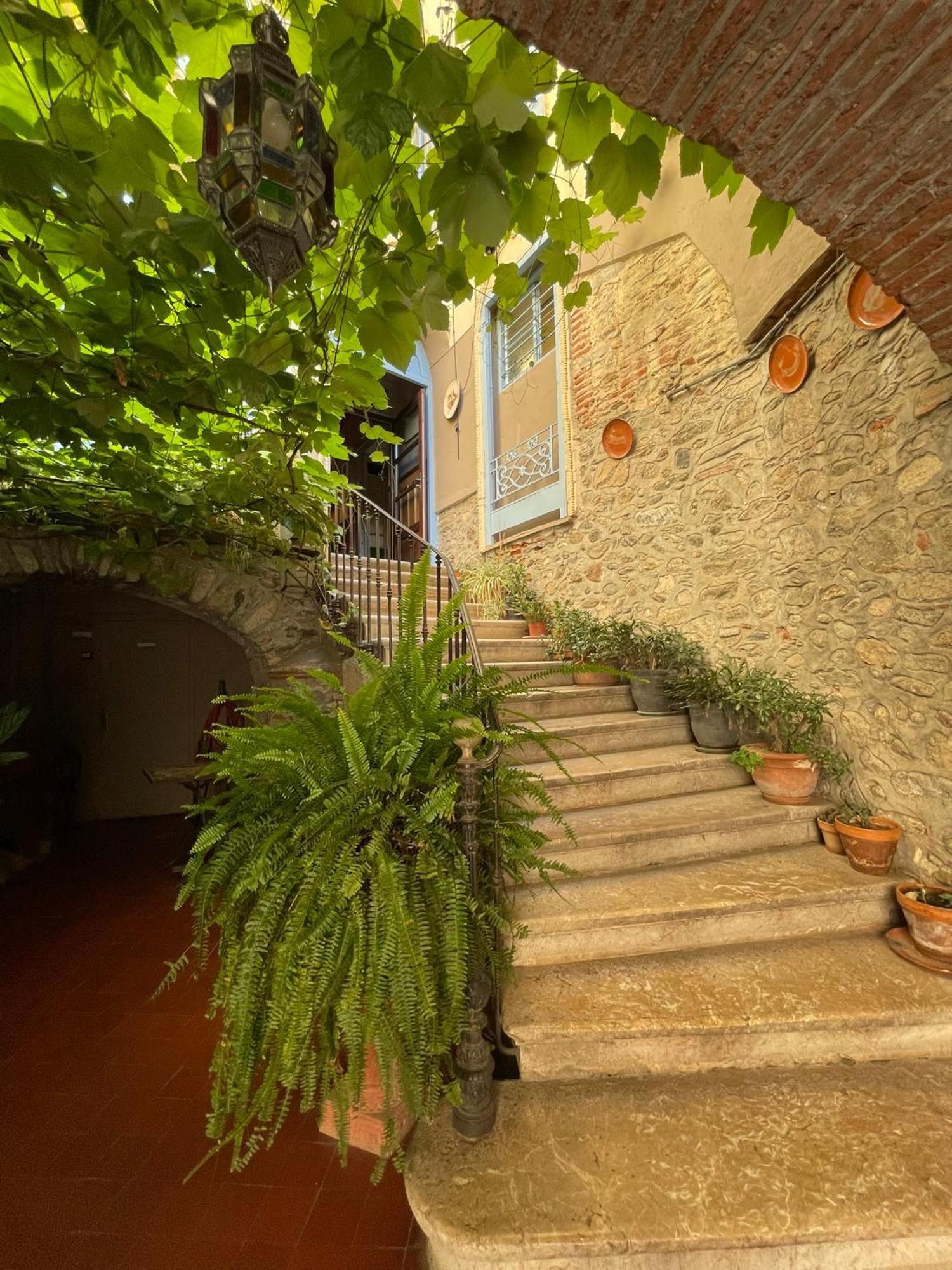 Hotel Vidal Céret Eksteriør billede