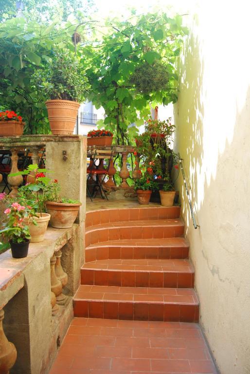 Hotel Vidal Céret Eksteriør billede