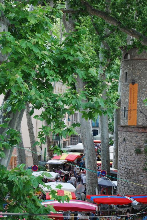 Hotel Vidal Céret Eksteriør billede